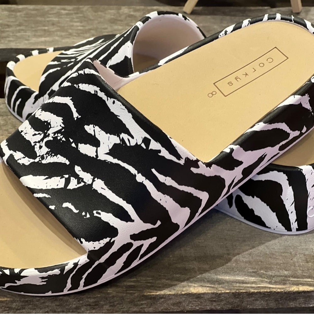 NIB Zebra Popsicle slides